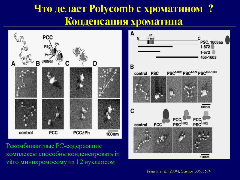 Что делает Polycomb с хроматином  ? Конденсация хроматина Francis et al. (2004), Science